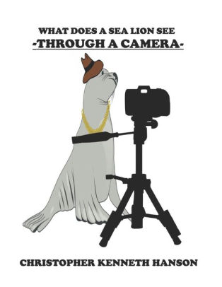 What Does A Sea Lion See Through A Camera?