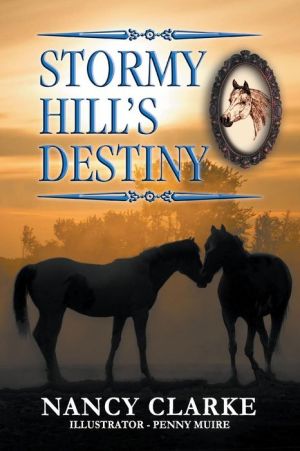 Stormy Hill's Destiny