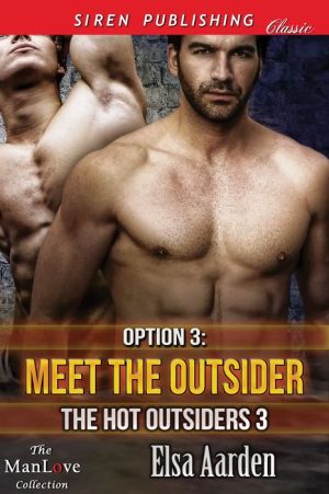 Option 3: Meet the Outsider