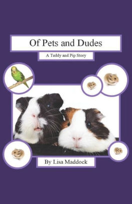 OF PETS AND DUDES