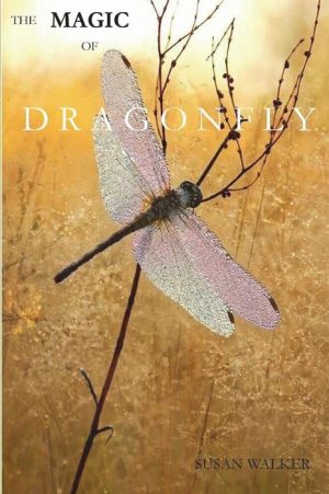 The Magic of Dragonfly
