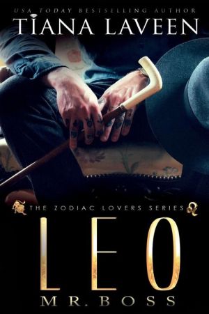 Leo - Mr. Boss