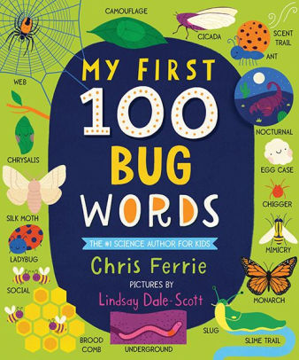 My First 100 Bug Words