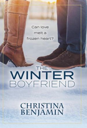 The Winter Boyfriend