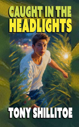 Caught in the Headlights
