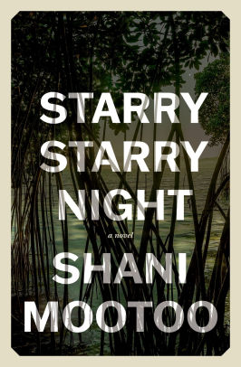 Starry Starry Night