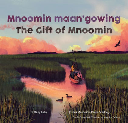 Mnoomin maan'gowing / The Gift of Mnoomin?