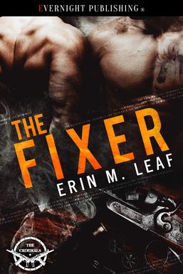 The Fixer