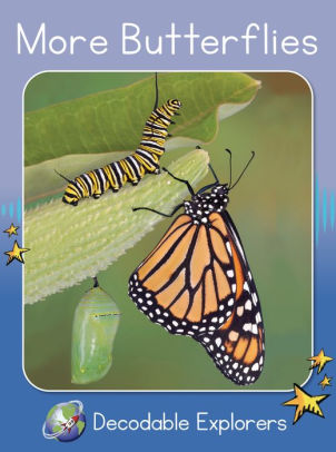 More Butterflies