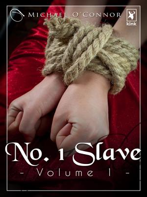 No. 1 Slave - Volume 1