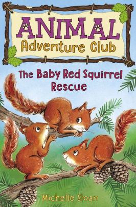 The Baby Red Squirrel Rescue