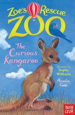 The Curious Kangaroo