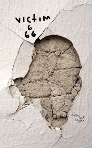 Victim 666
