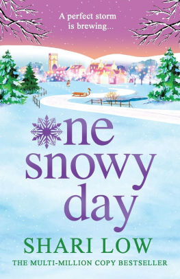 One Snowy Day