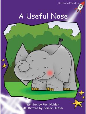 A Useful Nose