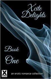 Xcite Delights - Book One: an erotic romance collection