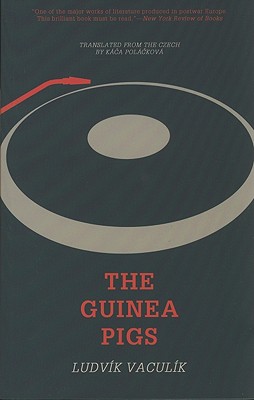 Guinea Pigs