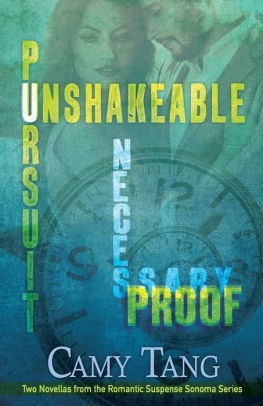 Necessary Proof and Unshakeable Pursuit