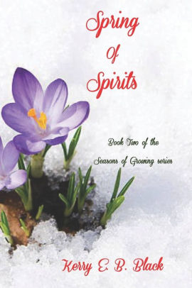 Spring of Spirits Kerry