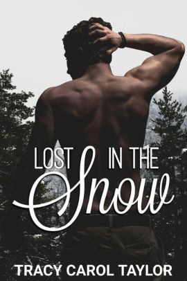 Lost in the Snow