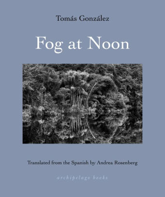 Midday Fog