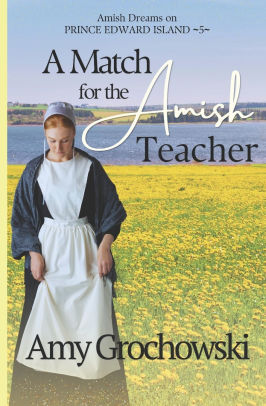 A Match for the Amish Teacher