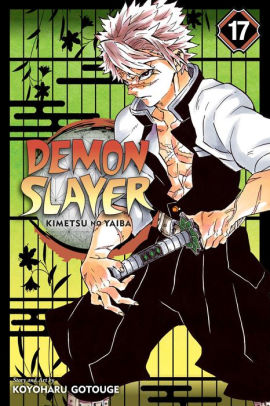 Demon Slayer: Kimetsu no Yaiba, Vol. 17: Successors