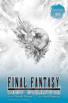 Final Fantasy Lost Stranger, Chapter 30