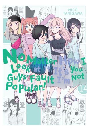 No Matter How I Look at It, It's You Guys' Fault I'm Not Popular!, Vol. 14