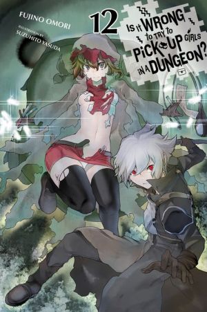 Is It Wrong to Try to Pick Up Girls in a Dungeon?, Vol. 12 (light novel)