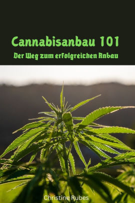 The Vexations of a Shut-In Vampire Princess, Vol. 10 (light novel)