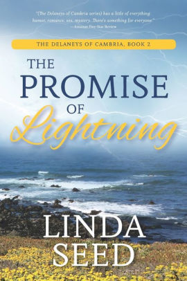 The Promise of Lightning
