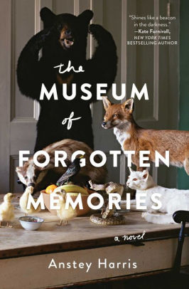 The Museum of Forgotten Memories