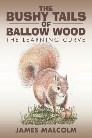 The Bushy Tails of Ballow Wood