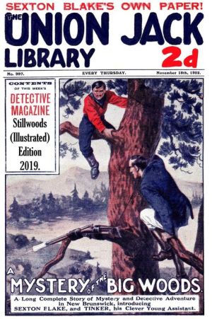 A Mystery in the Big Woods