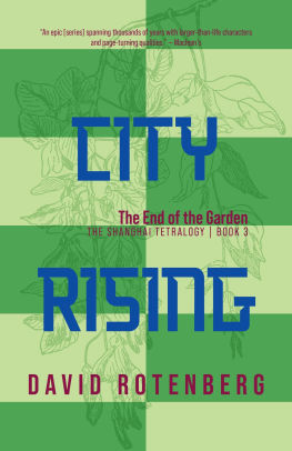 City Rising - Volume 3