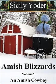 An Amish Cowboy