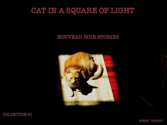 CAT IN A SQUARE OF LIGHT