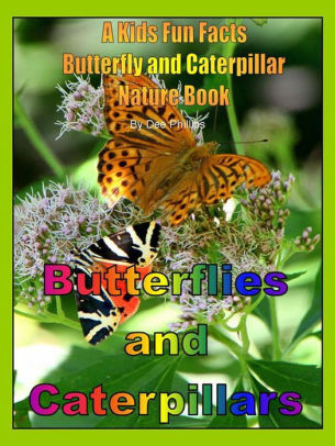 Butterflies and Caterpillars