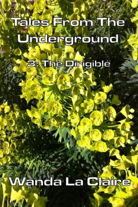 The Dirgible