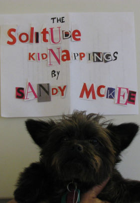 The Solitude Kidnappings