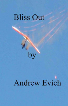 Bliss Out