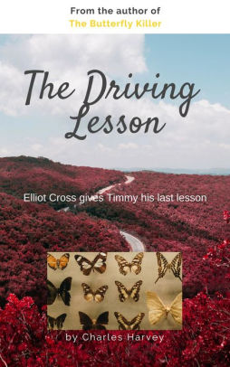The Driving Lesson