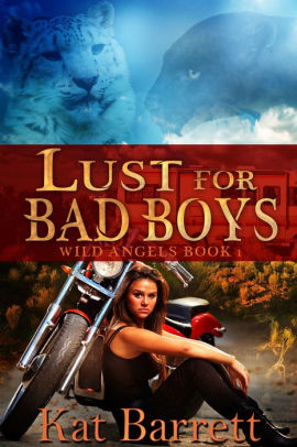 Lust For Bad Boys
