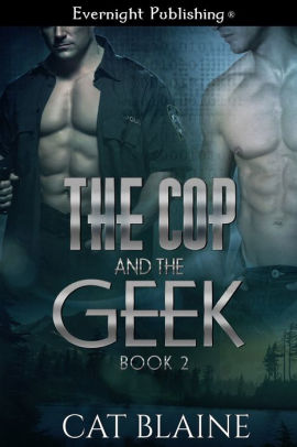 The Cop and the Geek 2