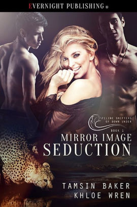 Mirror Image Seduction