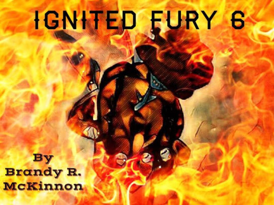 Ignited Fury 6