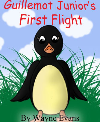 Guillemot Junior's First Flight
