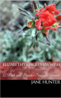 Elizabeth's Christmas Wish