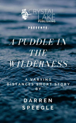 A Puddle in the Wilderness